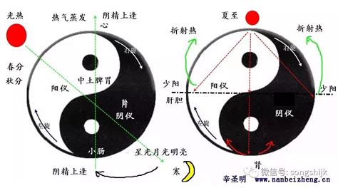 君火 相火|什么是君火？什么是相火？君火和相火啥关系？